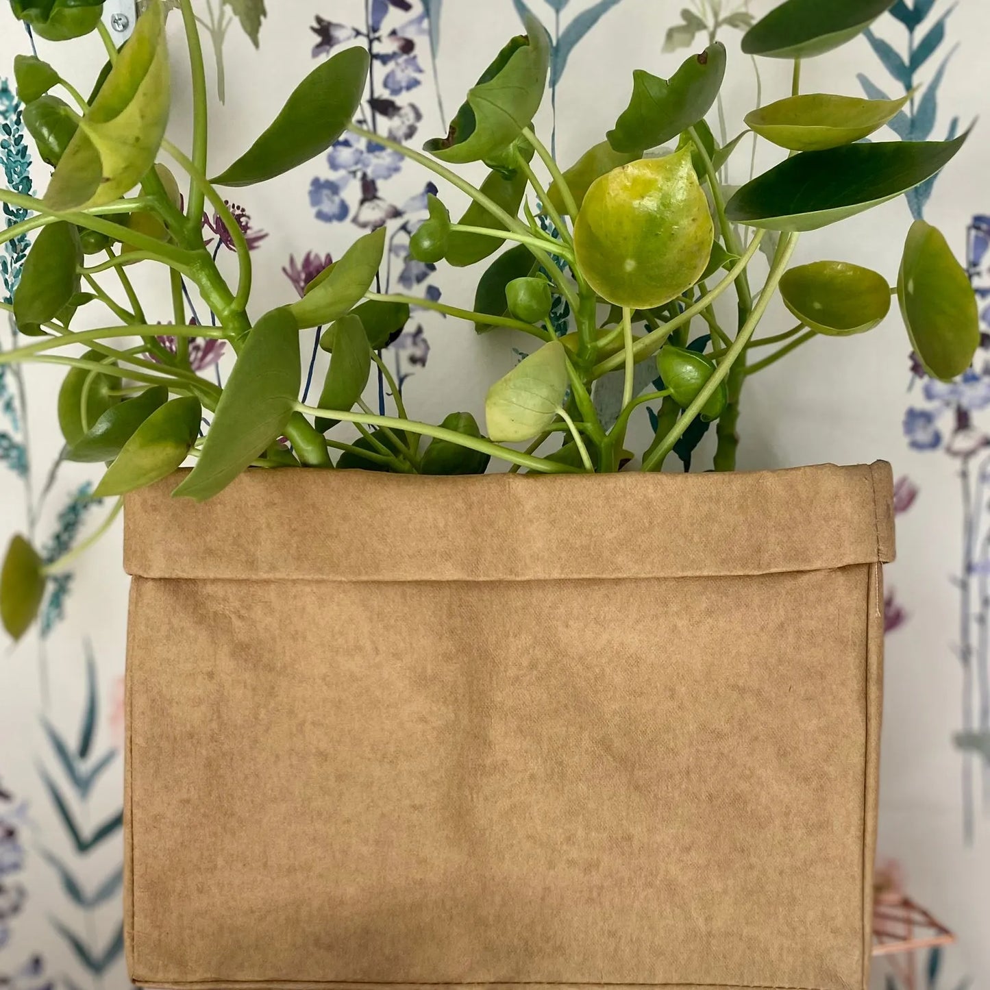 Cartucho rectangular M