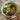 Bowl pintado verde L