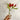 Florerito vidrio puntos