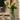 Florero alto S hojas