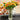 Florero rayitas geométrico