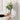 Florero vidrio rayitas geométrico