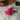 Llavero tres pompones bicolor fucsia y burdeo