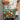 Maleta puzzle 24 piezas zorro