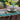 Mantel de género paisley colores