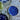 Plato azul diseño M azul hojitas blancas