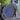 Plato L plano azul diseño flores cuadradas
