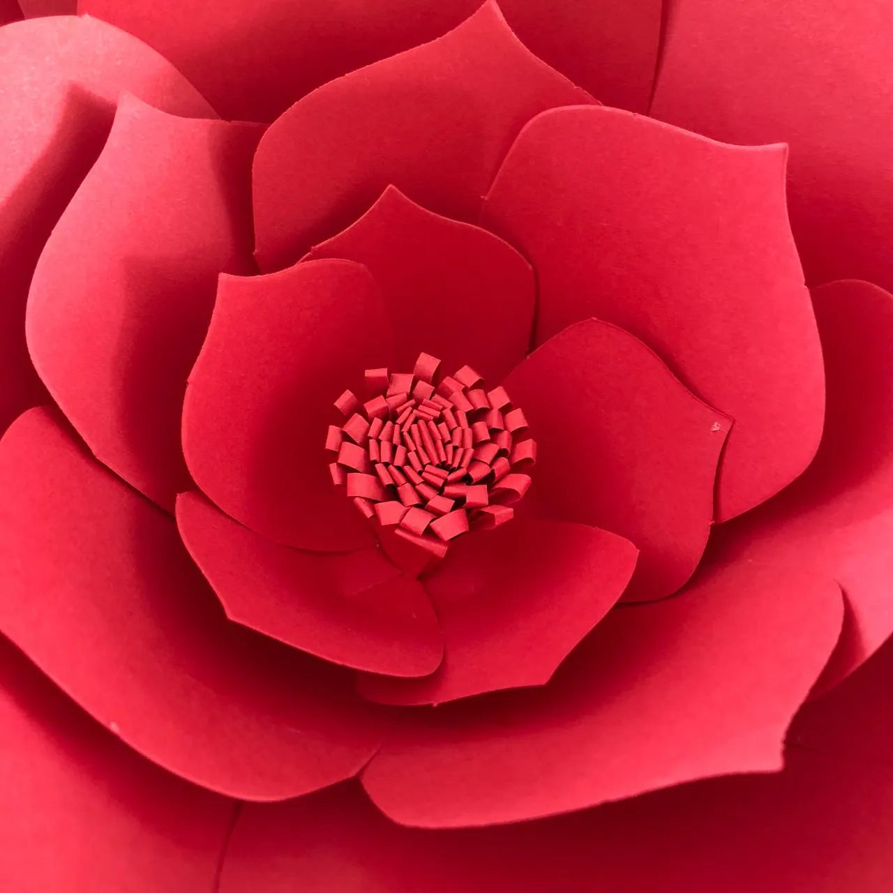 Flores para armar L