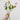 Vara 2 flores color