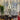 Velas con candelabro plateado